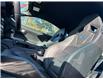 2022 Ford Mustang GT Premium (Stk: 15843) in Newmarket - Image 11 of 50