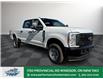 2025 Ford F-350 XL (Stk: FS47083) in Windsor - Image 9 of 25