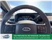 2025 Ford F-350 XL (Stk: FS47083) in Windsor - Image 22 of 25