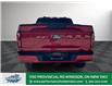 2025 Ford F-150 XLT (Stk: FS31556) in Windsor - Image 6 of 27