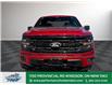 2025 Ford F-150 XLT (Stk: FS31556) in Windsor - Image 11 of 27