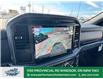 2025 Ford F-150 XLT (Stk: FS31556) in Windsor - Image 25 of 27