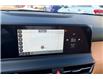 2025 Kia Seltos SX w/Brown Interior (Stk: SSS3820) in Sherwood Park - Image 14 of 15