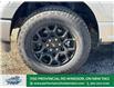 2025 Ford F-150 XLT (Stk: FS31260) in Windsor - Image 2 of 25
