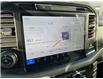 2025 Ford F-150 XLT (Stk: VF1F00616) in Chatham - Image 18 of 21