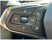2025 Chevrolet TrailBlazer ACTIV (Stk: B161740) in Newmarket - Image 14 of 30