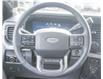 2025 Ford F-350 King Ranch (Stk: FT251040) in Dawson Creek - Image 14 of 14