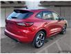 2025 Ford Escape ST-Line Elite (Stk: DS097) in Kamloops - Image 5 of 34