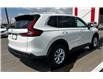 2025 Honda CR-V LX (Stk: H54-1483) in Grande Prairie - Image 4 of 24