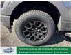 2025 Ford F-150 XLT (Stk: FS31009) in Windsor - Image 2 of 52