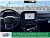 2025 Ford F-150 XLT (Stk: FS31009) in Windsor - Image 22 of 52