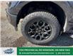 2025 Ford F-150 XLT (Stk: FS30106) in Windsor - Image 3 of 47