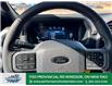 2025 Ford F-150 XLT (Stk: FS30106) in Windsor - Image 41 of 47