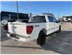 2025 Ford F-150 XLT (Stk: VF1F00616) in Chatham - Image 4 of 21