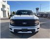 2025 Ford F-150 XLT (Stk: VF1F00616) in Chatham - Image 6 of 21