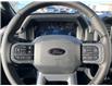 2025 Ford F-150 XLT (Stk: VF1F00616) in Chatham - Image 14 of 21