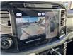 2025 Ford F-150 XLT (Stk: VF1F00616) in Chatham - Image 20 of 21