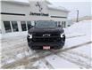 2024 Chevrolet Silverado 1500 LT Trail Boss (Stk: N2515A) in Timmins - Image 9 of 21