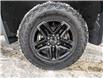 2024 Chevrolet Silverado 1500 LT Trail Boss (Stk: N2515A) in Timmins - Image 13 of 21