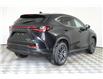 2025 Lexus NX 350h Base (Stk: 14109807) in Markham - Image 7 of 28