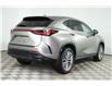 2025 Lexus NX 350h  (Stk: 14109783) in Markham - Image 7 of 11