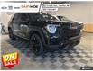 2025 GMC Terrain Elevation (Stk: 5TR3360) in STETTLER - Image 1 of 14