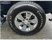 2023 Chevrolet Silverado 1500 LT (Stk: 271872) in Langley BC - Image 6 of 25