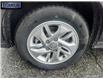 2023 Hyundai Venue Preferred (Stk: 257731) in Langley BC - Image 6 of 25