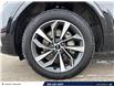 2021 Audi Q5 45 Technik (Stk: B0549) in Saskatoon - Image 6 of 25