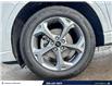 2023 Ford Escape ST-Line (Stk: B0551) in Saskatoon - Image 6 of 25