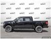 2025 Ford F-150 Tremor (Stk: 25F1535) in St. Catharines - Image 3 of 24