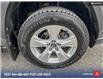 2019 Toyota RAV4 LE (Stk: 021987LP) in Salmon Arm - Image 6 of 25
