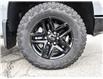 2025 Chevrolet Silverado 1500 Custom Trail Boss (Stk: LC1S00292) in Tilbury - Image 8 of 27