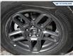 2025 Ford Bronco Sport Big Bend (Stk: 25BS196) in Newmarket - Image 6 of 26