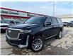 2023 Cadillac Escalade Premium Luxury (Stk: U3710) in Hanover - Image 1 of 17