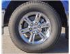 2024 Ford F-150 XLT (Stk: FT247903) in Dawson Creek - Image 7 of 15