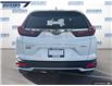 2022 Honda CR-V LX (Stk: P6066) in Dartmouth - Image 5 of 24