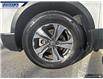 2022 Honda CR-V LX (Stk: P6066) in Dartmouth - Image 7 of 24