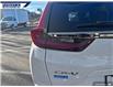 2022 Honda CR-V LX (Stk: P6066) in Dartmouth - Image 10 of 24