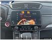 2022 Honda CR-V LX (Stk: P6066) in Dartmouth - Image 18 of 24