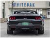 2024 Ford Mustang GT Premium (Stk: 24M3445) in Mississauga - Image 15 of 35