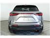 2025 Lexus NX 350h  (Stk: 14109821) in Markham - Image 6 of 26