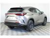 2025 Lexus NX 350h  (Stk: 14109821) in Markham - Image 7 of 26
