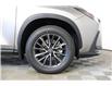2025 Lexus NX 350h  (Stk: 14109821) in Markham - Image 8 of 26