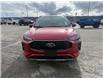 2025 Ford Escape ST-Line Elite (Stk: 5S016) in Williams Lake - Image 8 of 13