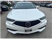 2018 Acura TLX Tech (Stk: A801155) in Scarborough - Image 7 of 18