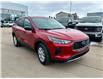 2025 Ford Escape Active (Stk: 25-0194) in Prince Albert - Image 3 of 14