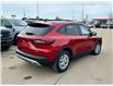 2025 Ford Escape Active (Stk: 25-0194) in Prince Albert - Image 6 of 14