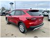 2025 Ford Escape Active (Stk: 25-0194) in Prince Albert - Image 9 of 14
