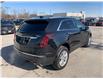 2022 Cadillac XT5 Luxury (Stk: CM00149T) in Chatham - Image 6 of 24